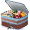 imageArctic Zone Canvas Expandable Horizontal Lunch Box with Removable Shoulder Strap  BlueBlue