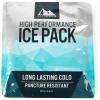 imageArctic Zone High Performance Meal Prep Lunch Bag MD with 6 Piece Printed Leak Proof Bento and 250g High Performance Ice Pack  Leafy GreyNocturnal Orchid