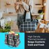 imageArctic Zone Insulated Lunch Tote Bag for Women  Lunch Box Cooler Tote BagGlen Plaid