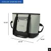 imageTitan Deep Freeze Insulated Tote CoolersSeagrass