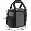imageTitan Deep Freeze Insulated Tote CoolersSharkskin Gray