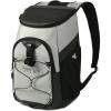 imageTitan by Arctic Zone Deep Freeze Backpack Cooler 24 CanSeagrass