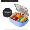 imageTitan Fridge Cold Upright Lunch Box With 2 250g Ice Walls Black IcePurple